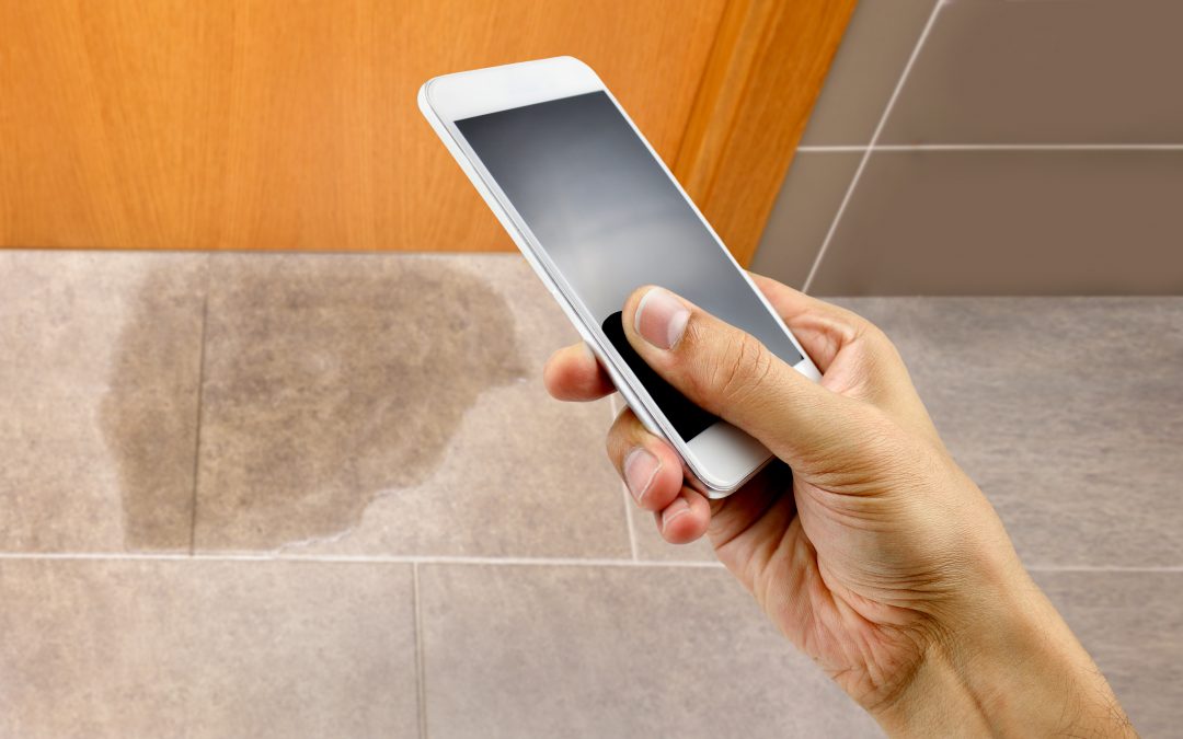 A hand holding a smartphone to call the professional to repair a water leak in the room